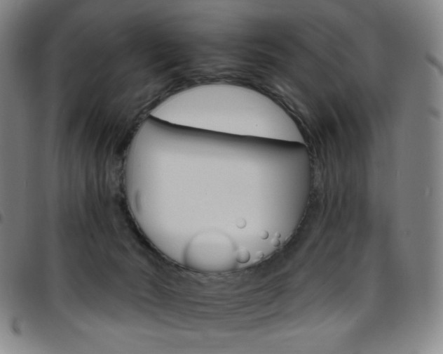 X0000097670030200803071605