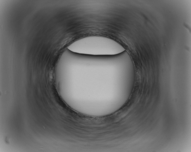 X0000097670032200803071605