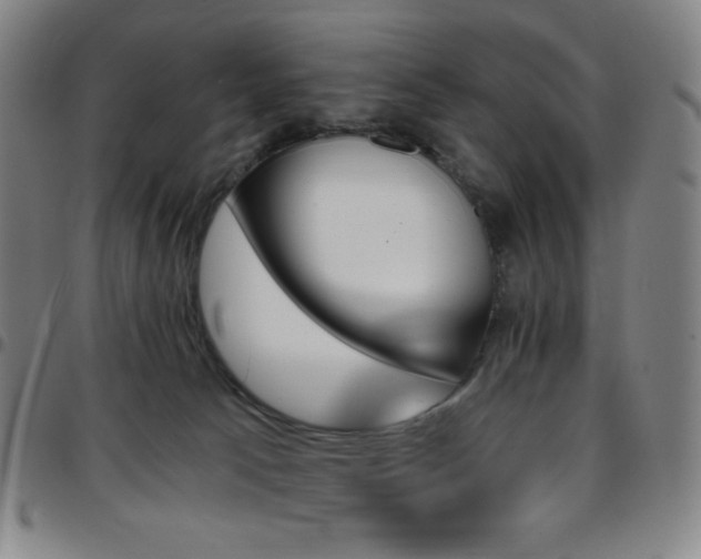 X0000097670033200803071605