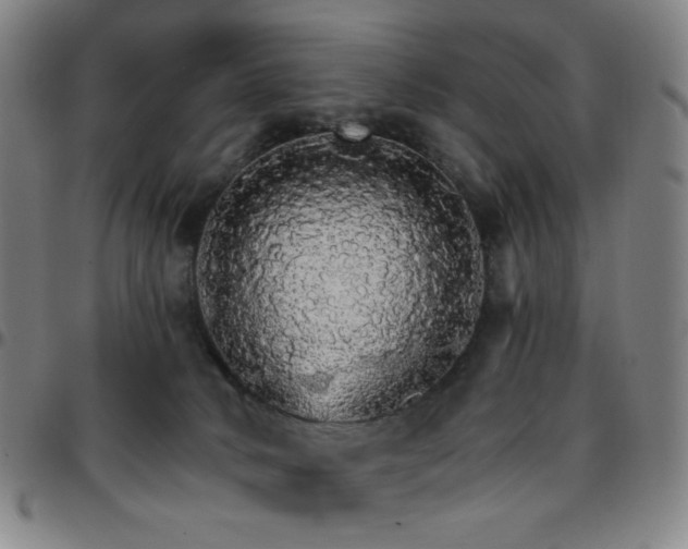 X0000097670034200803071605
