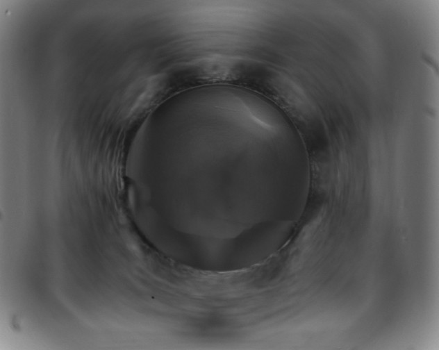 X0000097670035200803071605