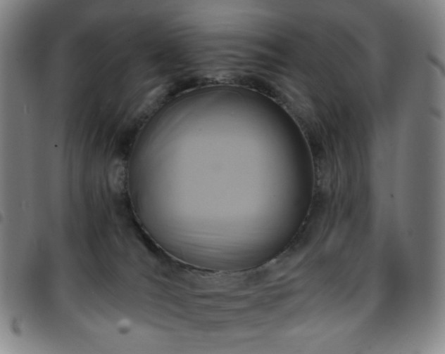 X0000097670036200803071605