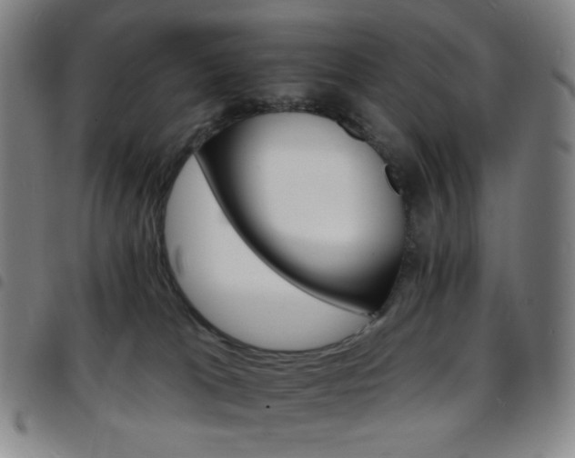 X0000097670037200803071605