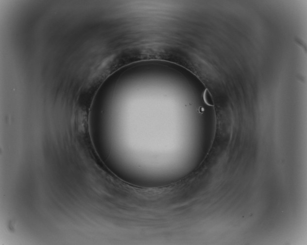 X0000097670038200803071605