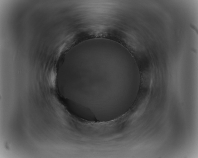 X0000097670039200803071605