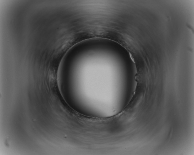 X0000097670040200803071605