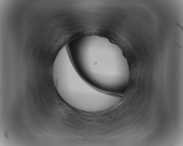 X0000097670041200803071605