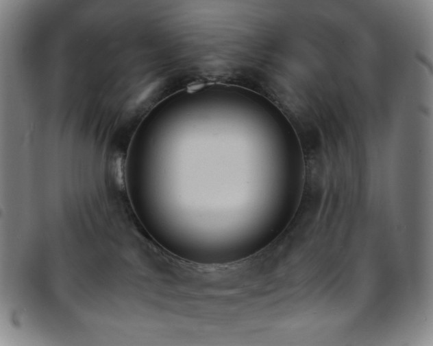 X0000097670042200803071605
