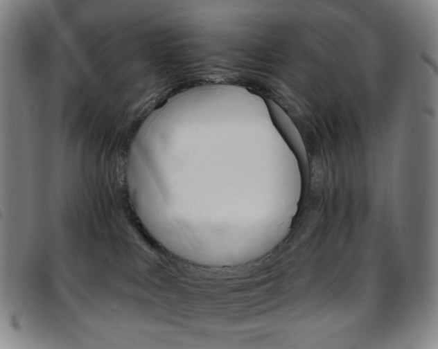 X0000097670043200803071605