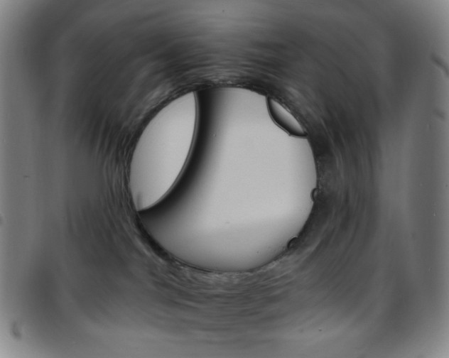 X0000097670044200803071605