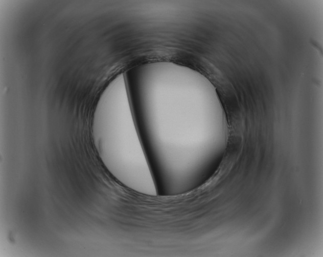 X0000097670045200803071605