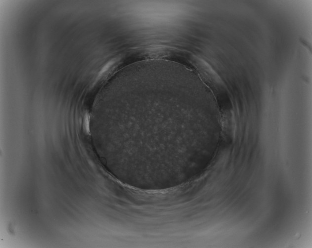 X0000097670046200803071605