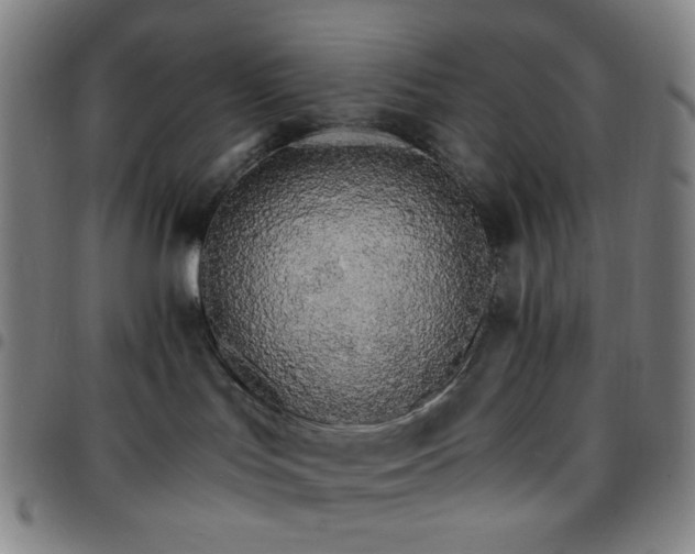 X0000097670047200803071605