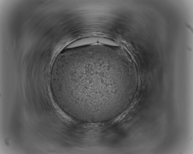 X0000097670049200803071604