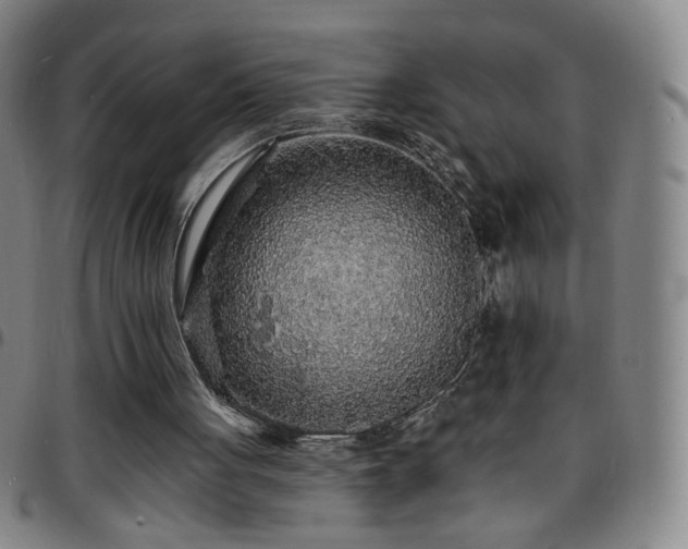 X0000097670051200803071604