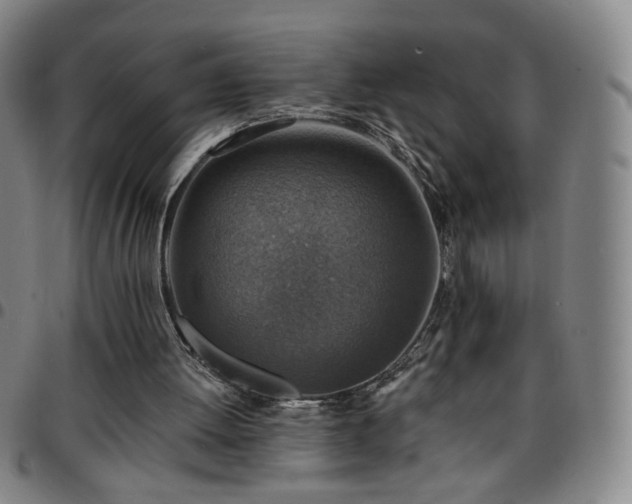 X0000097670052200803071604