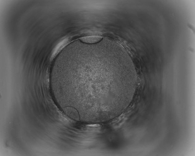 X0000097670053200803071604