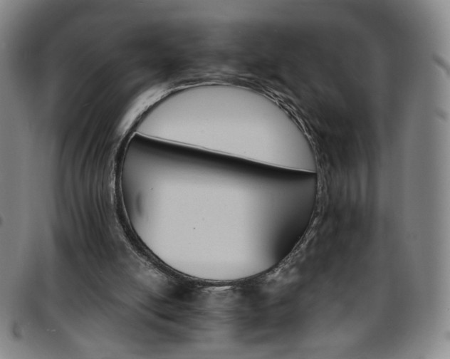 X0000097670054200803071604