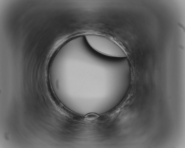 X0000097670055200803071604