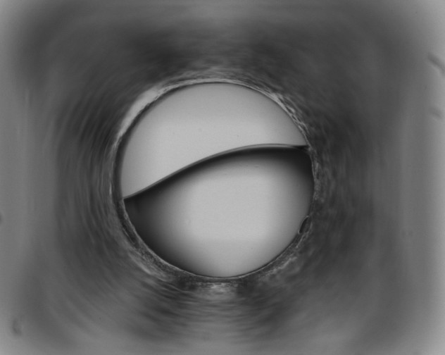 X0000097670056200803071604