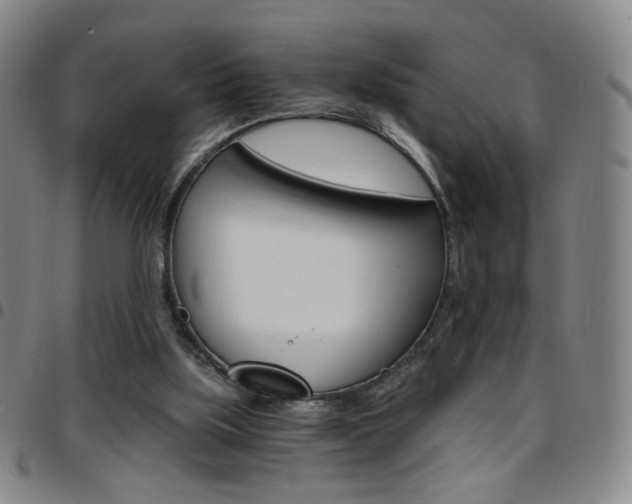 X0000097670059200803071604
