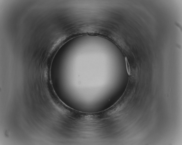 X0000097670064200803071604