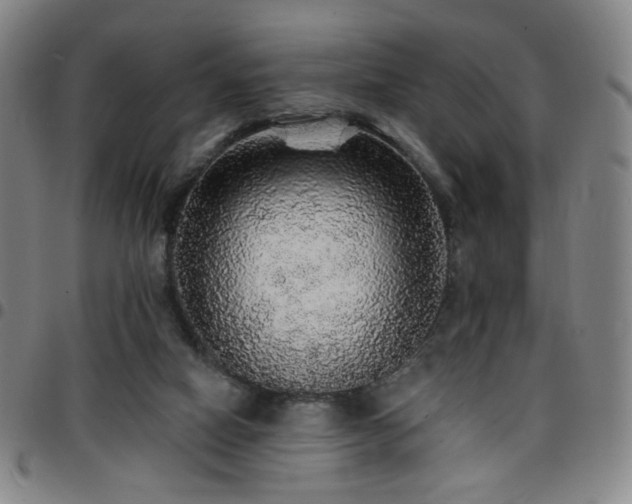 X0000097670066200803071604