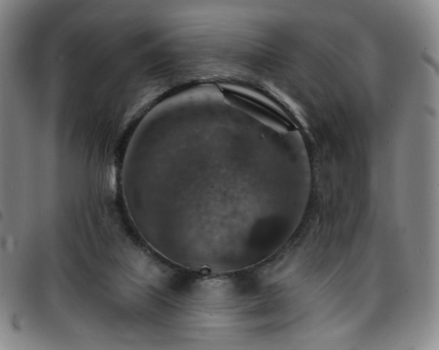 X0000097670067200803071604