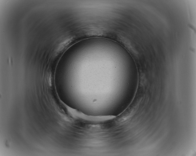 X0000097670068200803071604