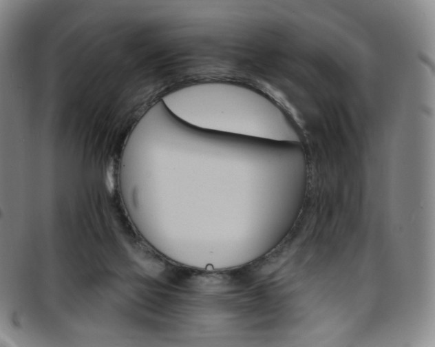 X0000097670069200803071604