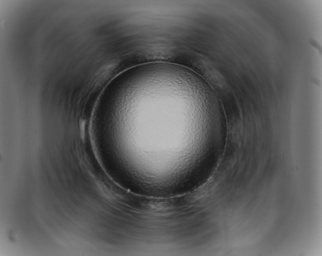 X0000097670070200803071604