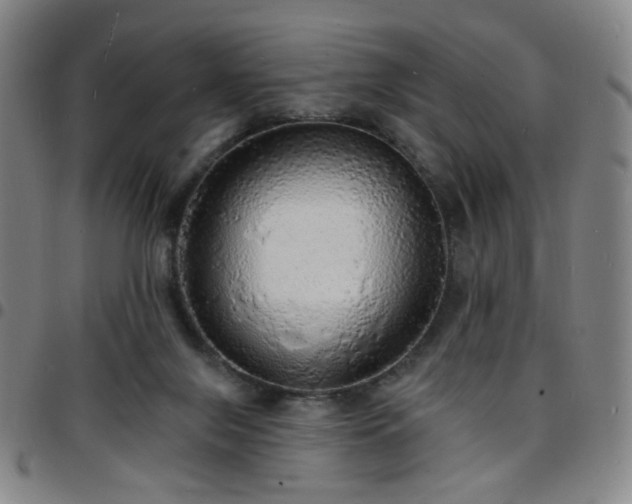 X0000097670071200803071604
