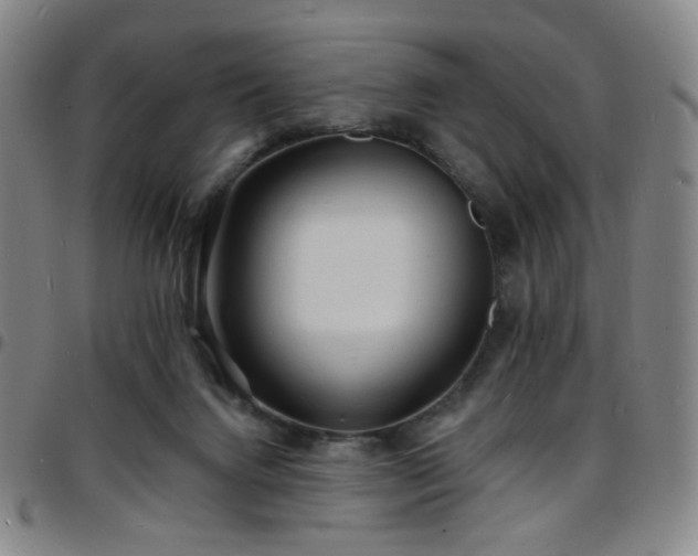 X0000097670072200803071604