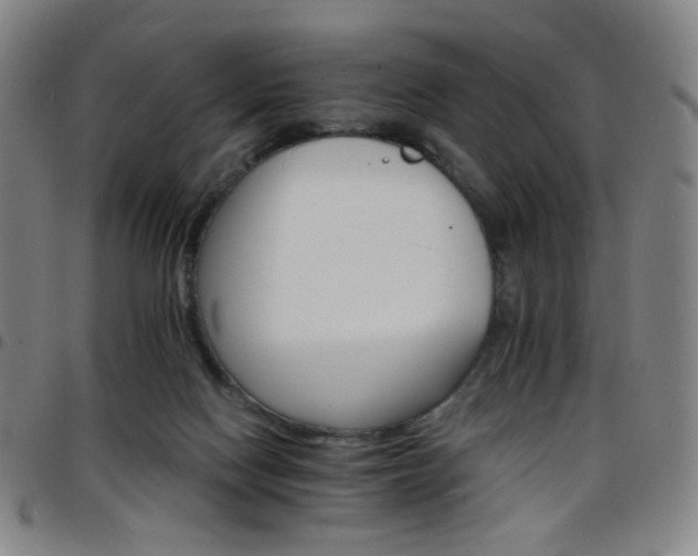 X0000097670074200803071604
