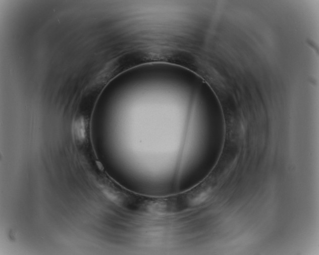 X0000097670075200803071604