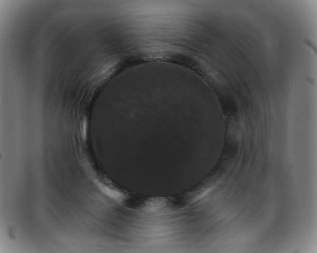 X0000097670076200803071604
