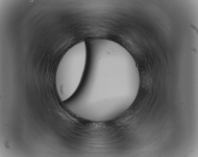 X0000097670077200803071604