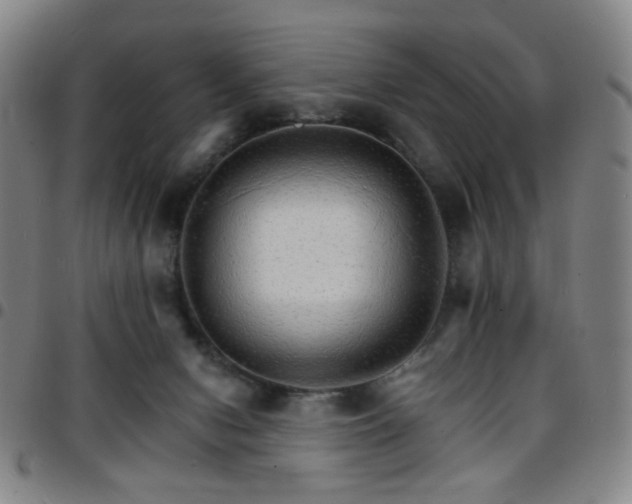 X0000097670078200803071604