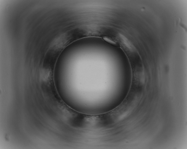 X0000097670079200803071604