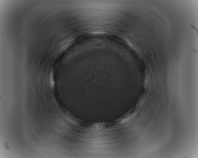 X0000097670080200803071604