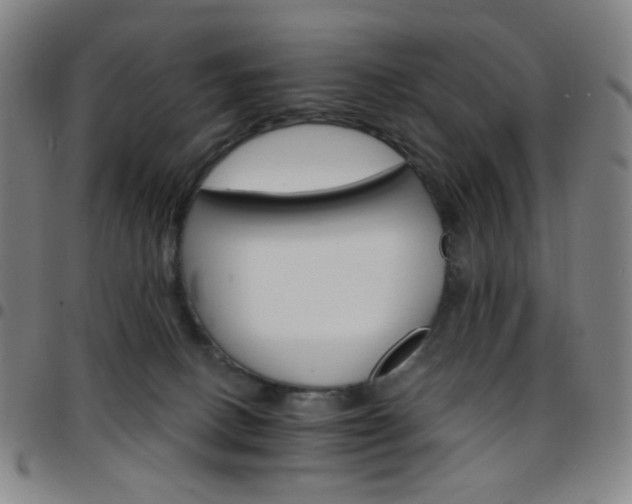 X0000097670082200803071604