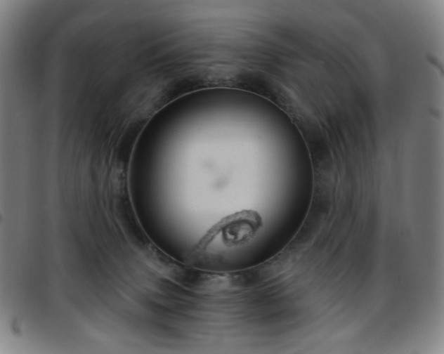 X0000097670083200803071604