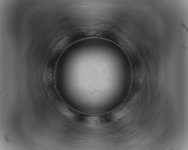 X0000097670085200803071604
