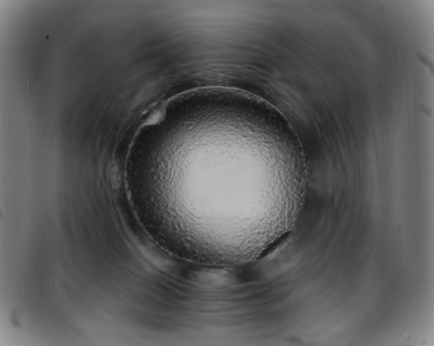 X0000097670086200803071604