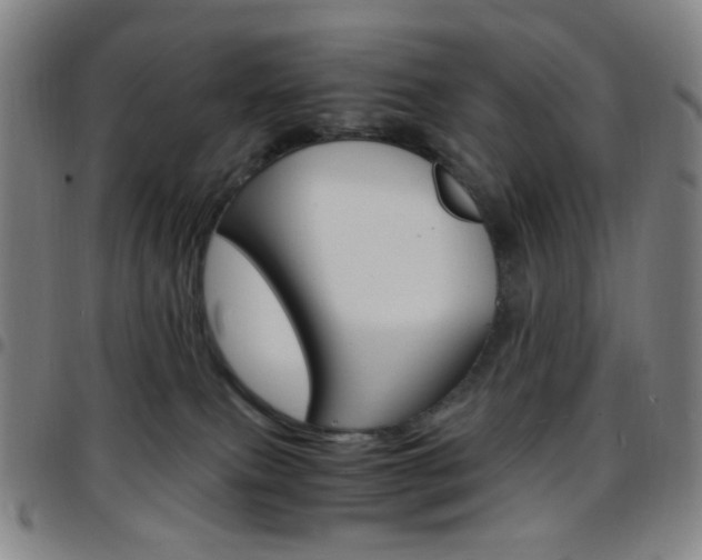 X0000097670087200803071604