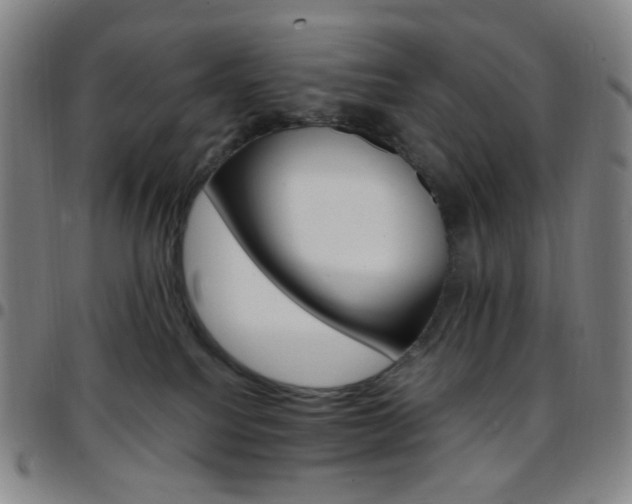 X0000097670088200803071604