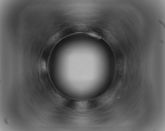 X0000097670089200803071604