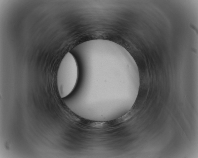 X0000097670090200803071604