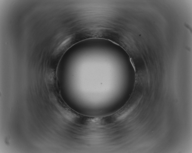 X0000097670092200803071605
