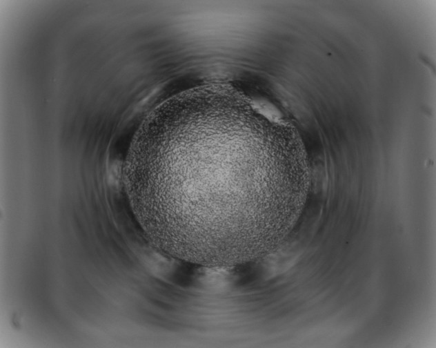 X0000097670093200803071605